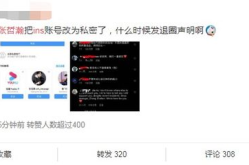 怎么看别人ins私密账户,揭秘神秘世界