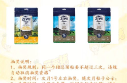 波萝社8,探索虚拟世界的无限魅力