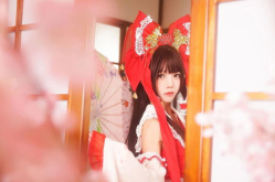 桜桃喵写真免费合集,治愈系猫咪写真大盘点