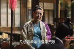 顾廷烨妈妈白氏真相,顾廷烨母亲的真实身份与命运